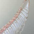 Murano Chandelier Felci Pink Cherry Vintage Interior-4