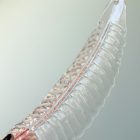 Murano Chandelier Felci Pink Cherry Vintage Interior-5